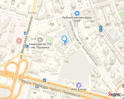 расположение на карте магазина NSP в Киеве №266