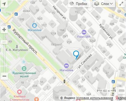 НСП Сочи адрес Курортный проспект 50